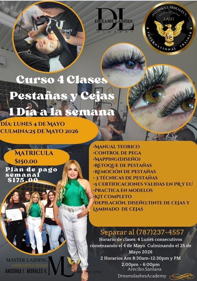 Curso 4 Clases ,1 día a la semana (Pestañas y Cejas)