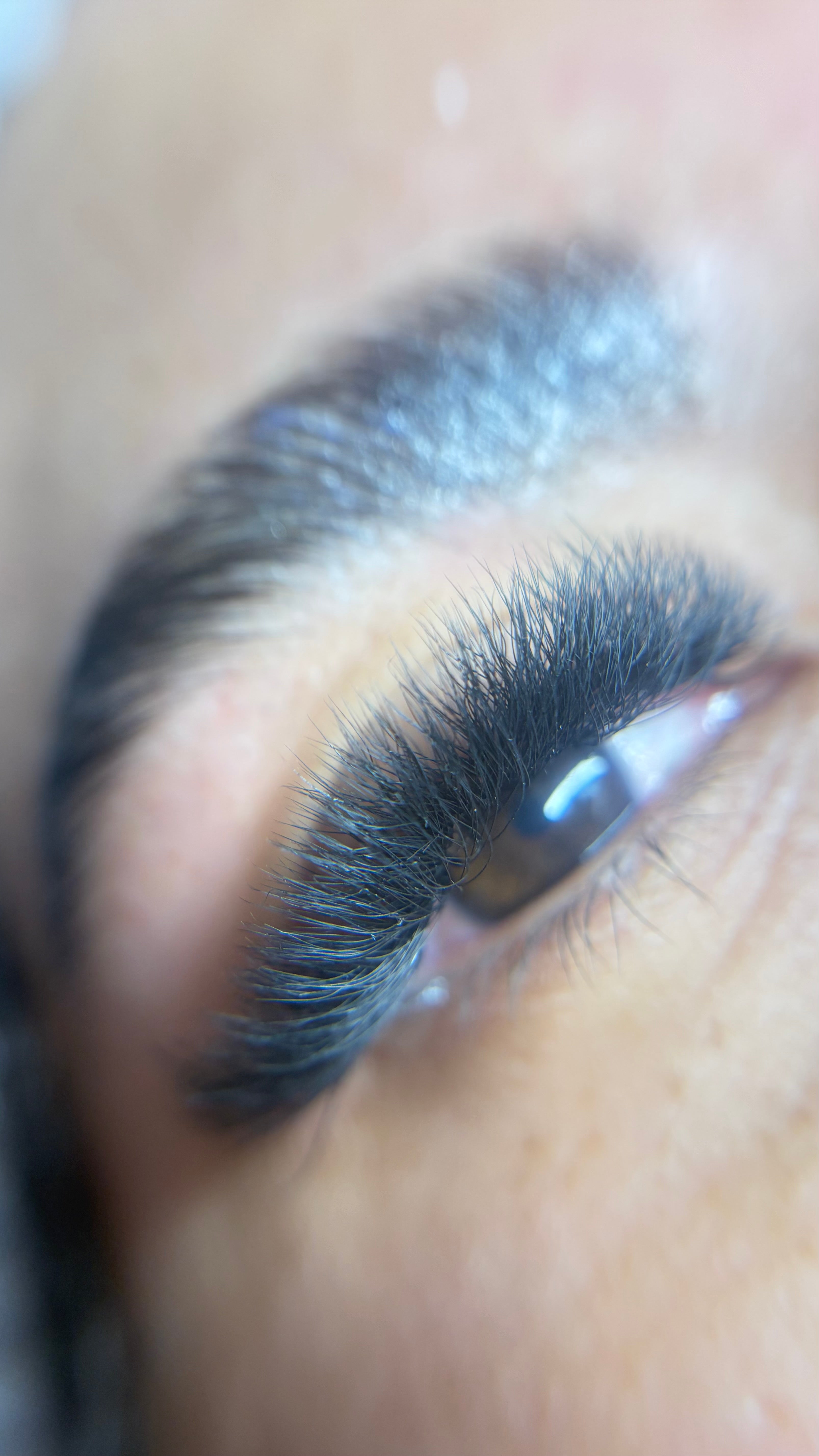 Duo combo Pestañas W6D Y Laminado de Cejas